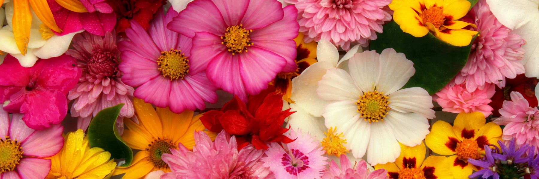 Floral