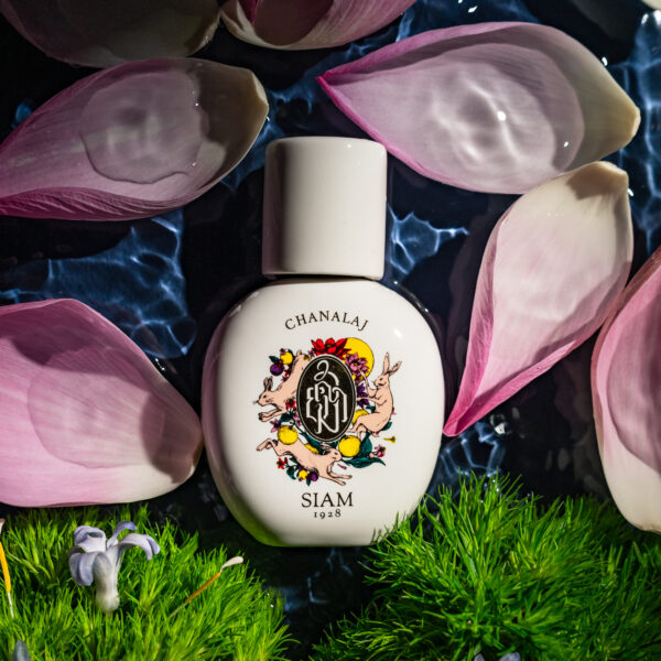 SIAM1928 - CHANALAJ 2023