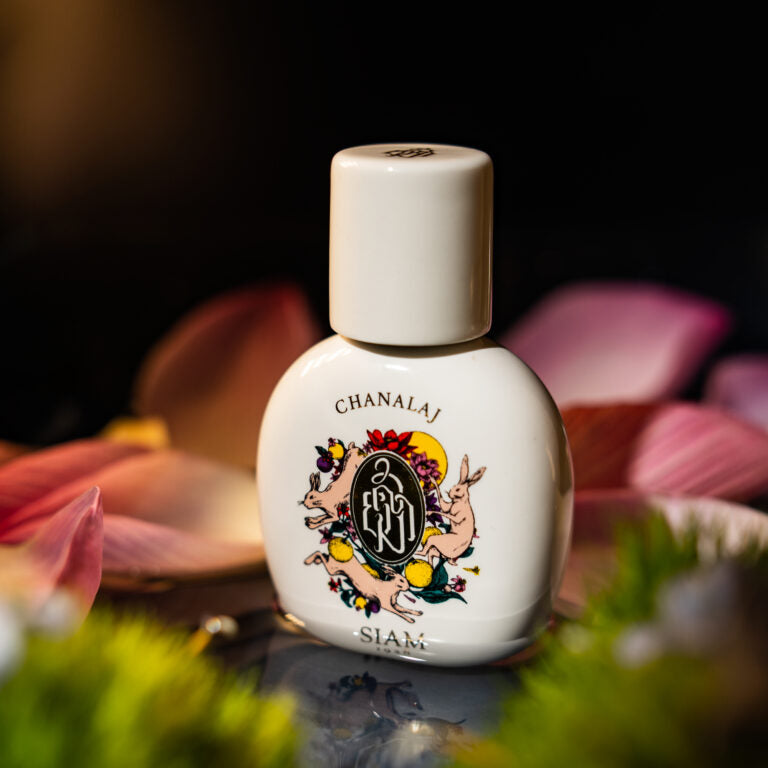 SIAM1928 - CHANALAJ 2023