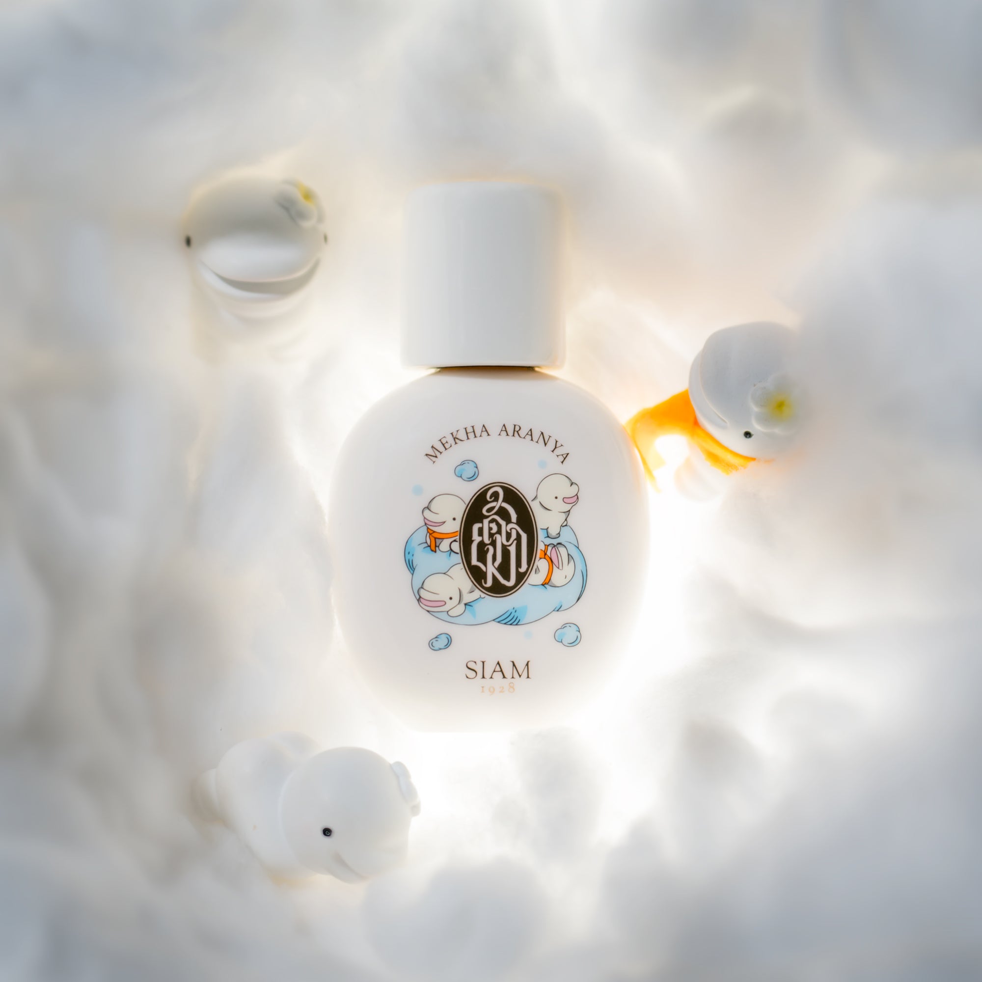 SIAM1928 - Mekha Aranya