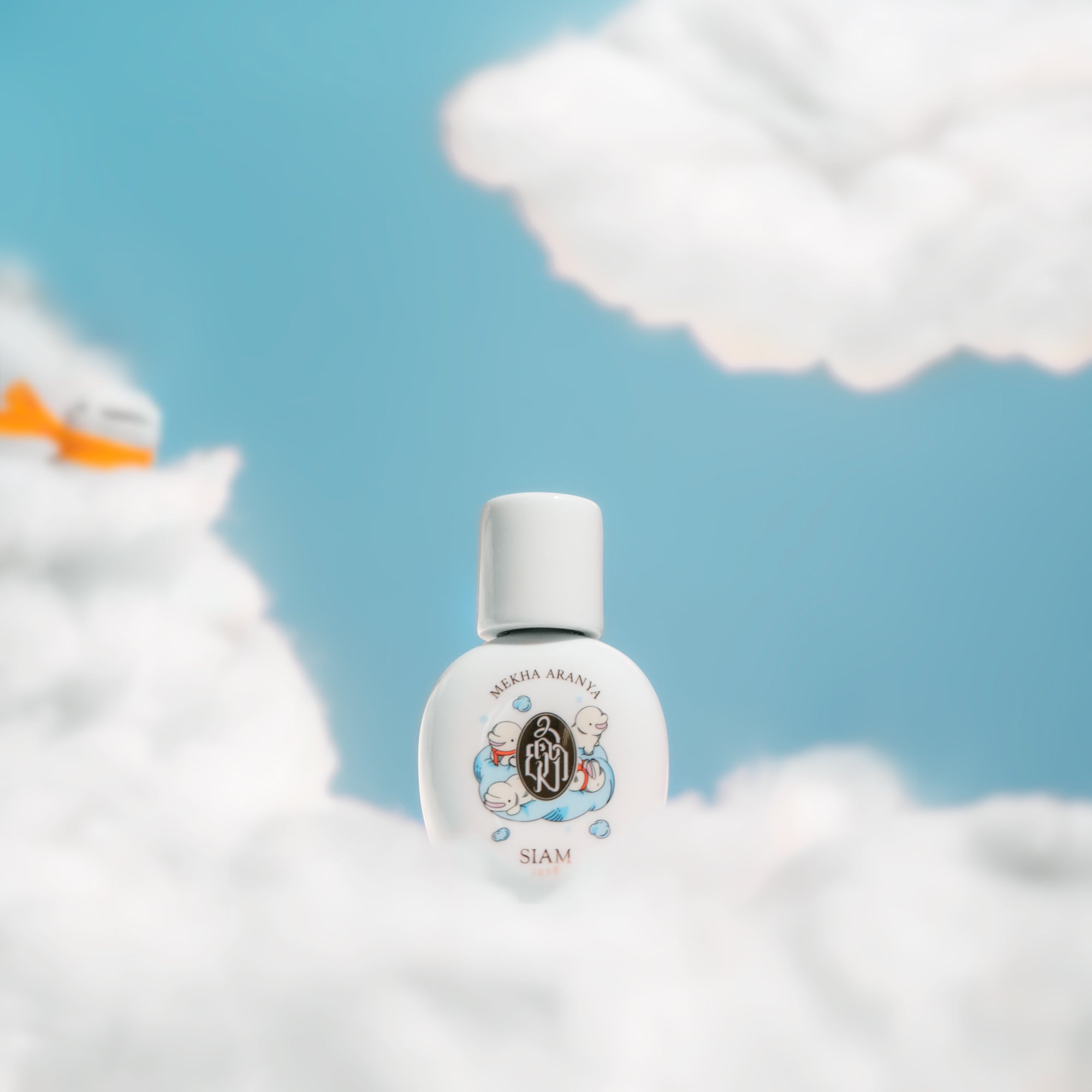 SIAM1928 - Mekha Aranya