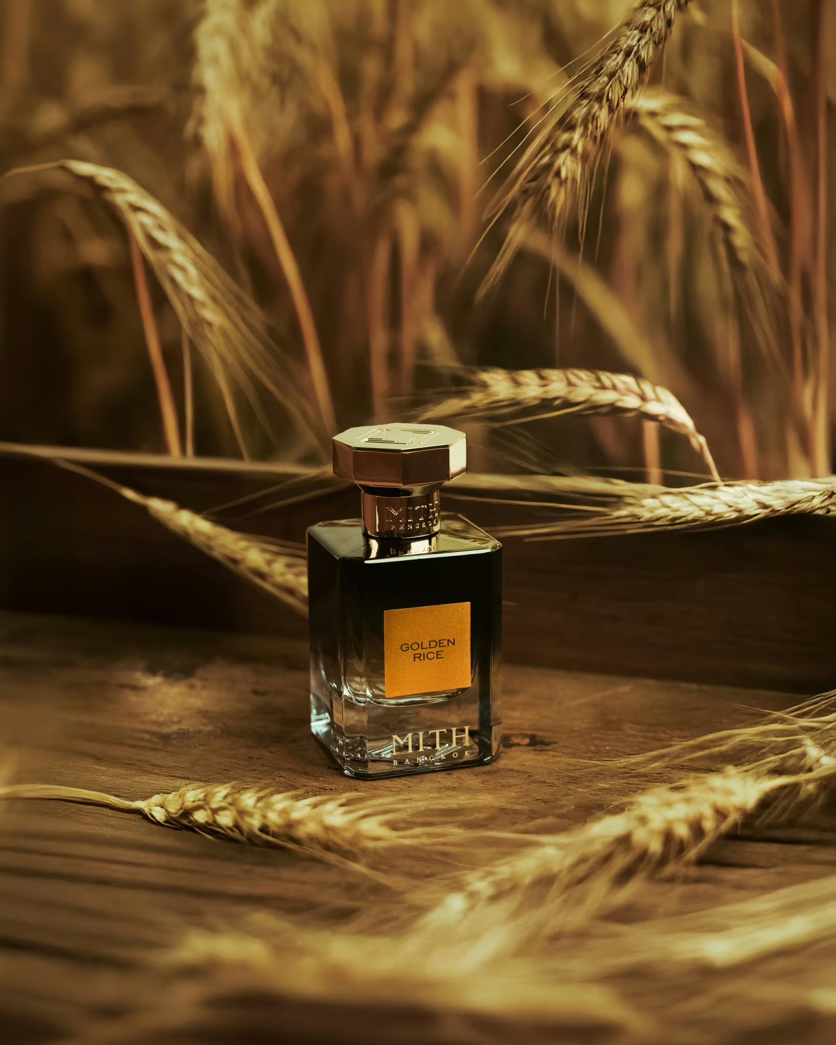 MITH Bangkok - Golden Rice