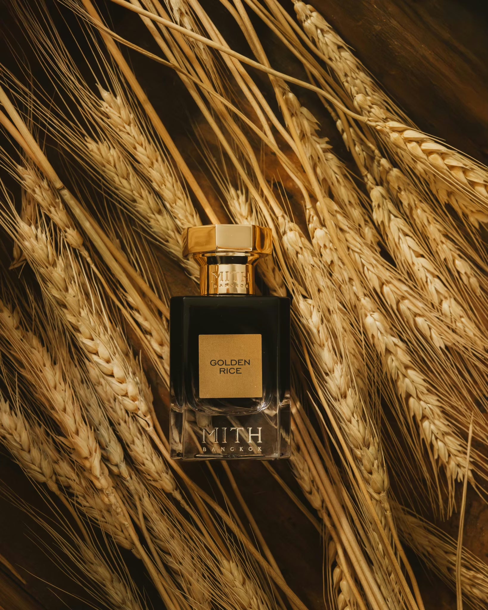 MITH Bangkok - Golden Rice
