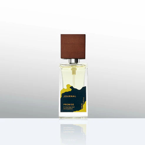 Journal - Promise